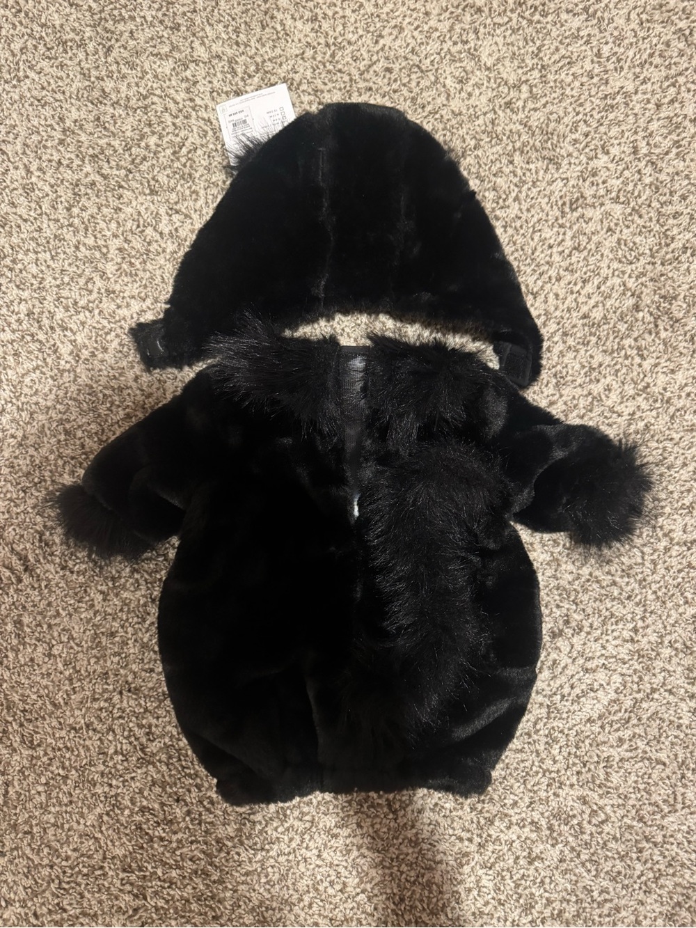 Pottery Barn Kids Baby Black Cat Halloween Costume 0-6M - Picture 4 of 7